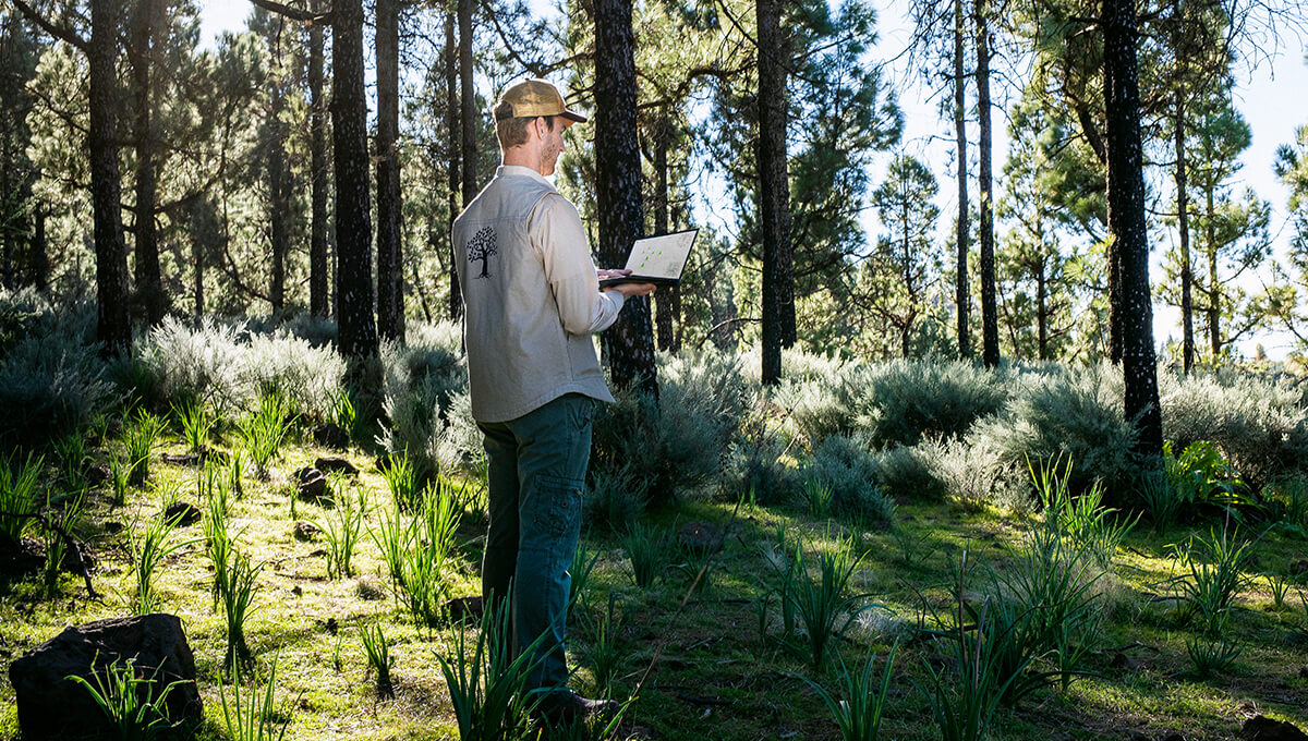 A man in the center of the image is holding a laptop and standing under a canopy of trees in a forest.
