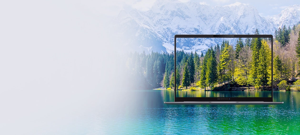 A photo of ASUS ExpertBook P5 G2 in front of a forest scenary.