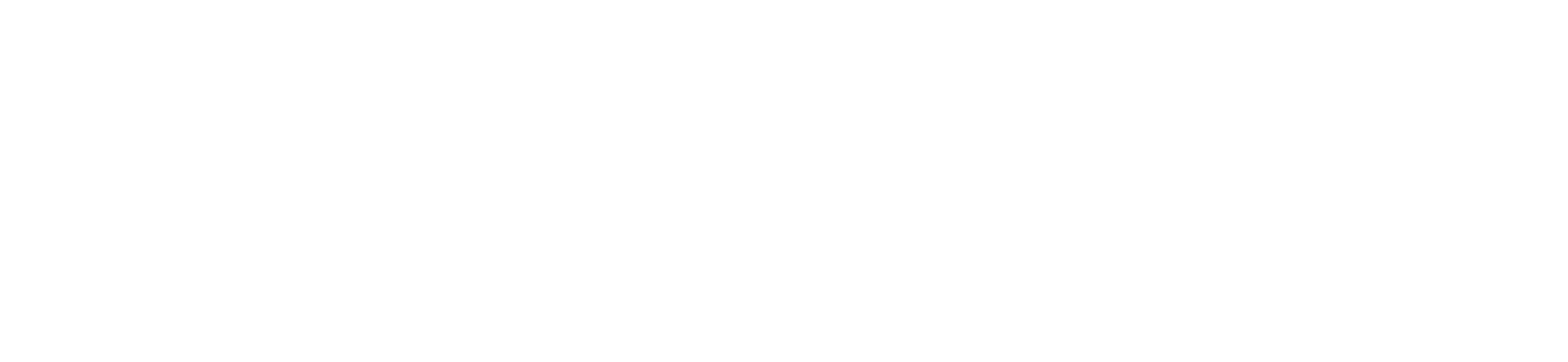 FOR LUDENS WHO DARE