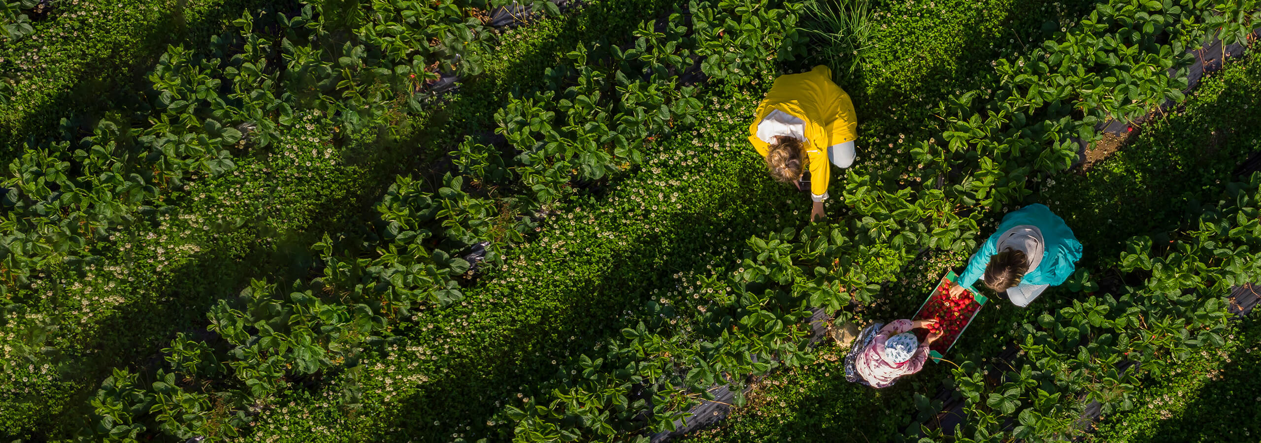 two people in the grass