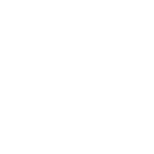 2D black and white wireframe of a RAM DIMM, with 8 memory chiplets visible on the stick.