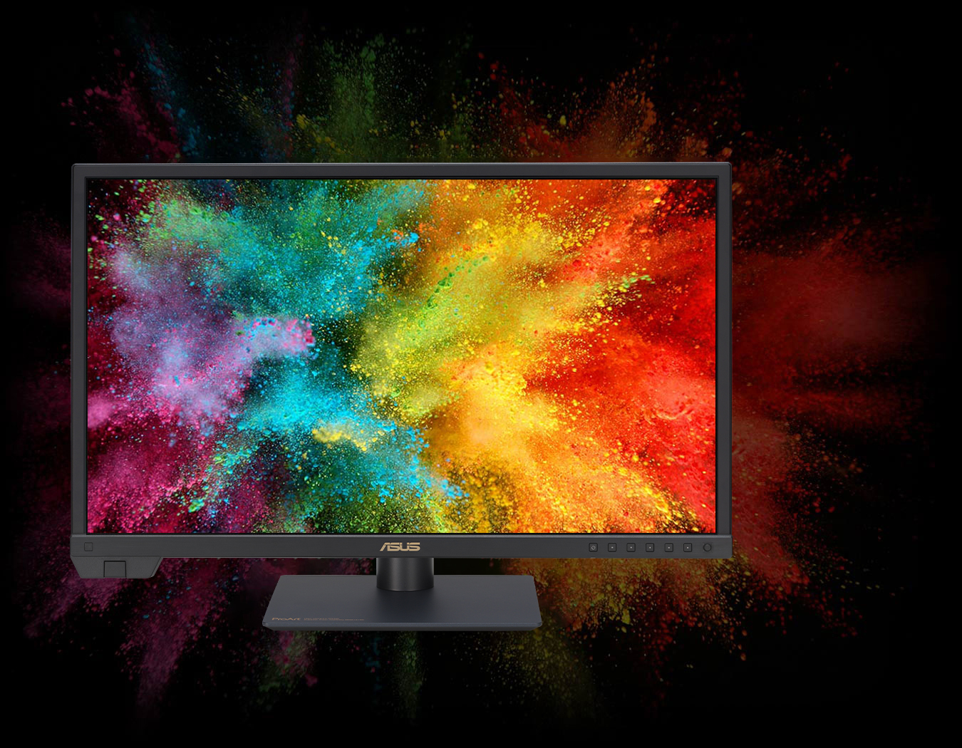 ProArt Display showing a colorful image.