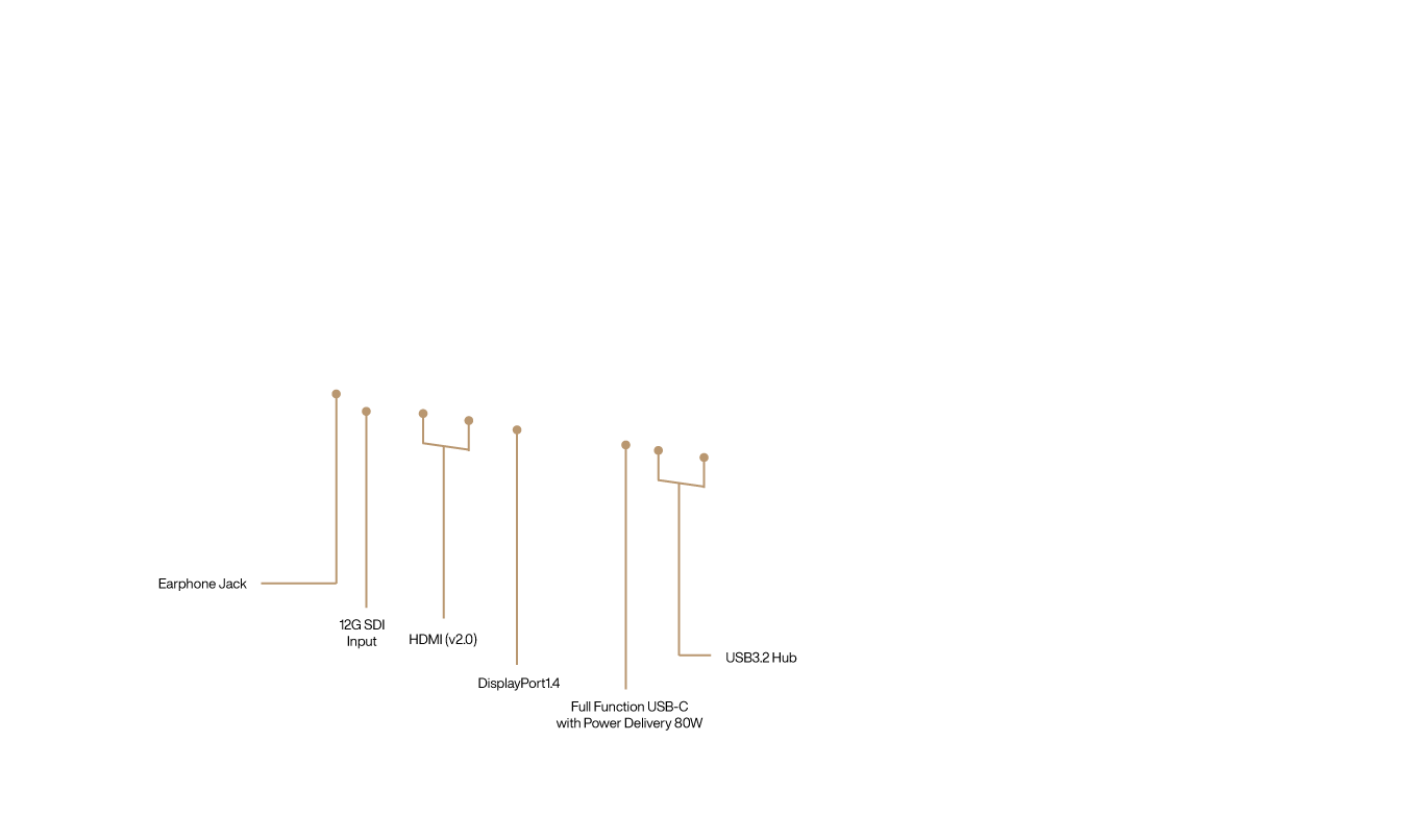 The rear I/O ports of ProArt Display
