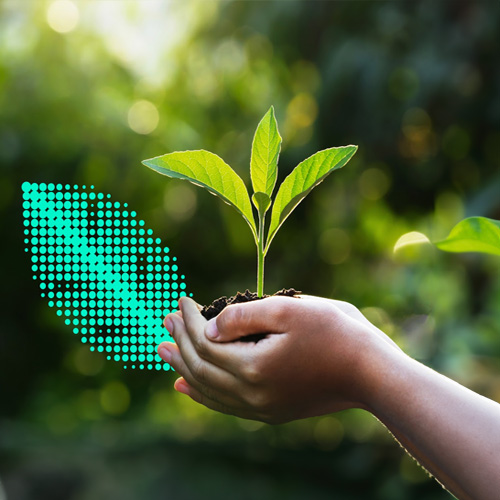 A seedling is sprouting from a handful of soil held in the palm of a person’s hands in front of a blurred forest background.