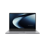 ASUS ExpertBook P1 (PM1503)