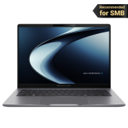 ASUS ExpertBook P3 (P3405)